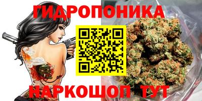 дурь Будённовск