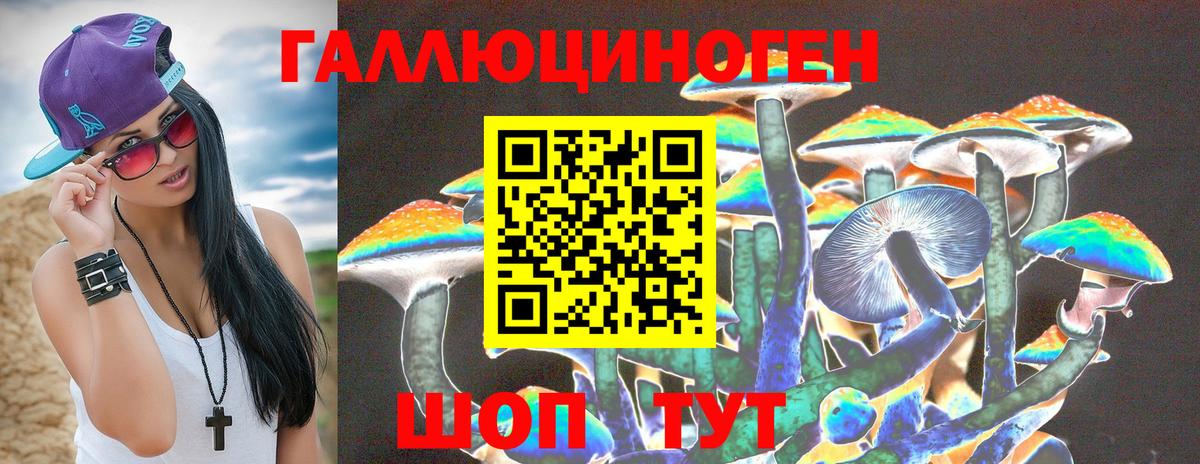 где можно купить   Вход с VPN  Саров  Псилоцибиновые грибы мицелий  Галлюциногенные грибы Psilocybine cubensis 